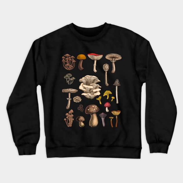 Wild mushrooms Crewneck Sweatshirt by katerinamk